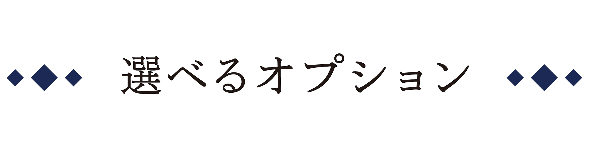 選べるオプション